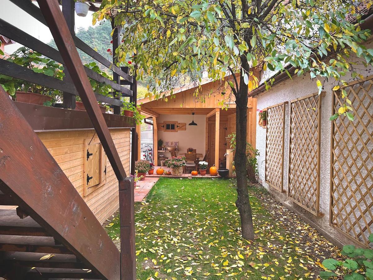 Victoria Gasthaus Rasnov - Charming Vacation House In Rasnov Exterior photo